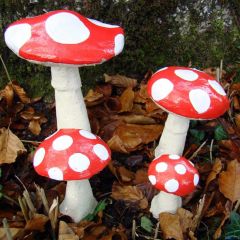 set toadstool