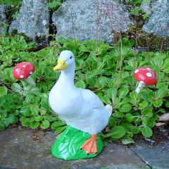 Small Duck