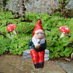 Garden Gnome Spike